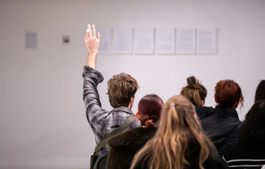Audience at an event, one person raising a hand